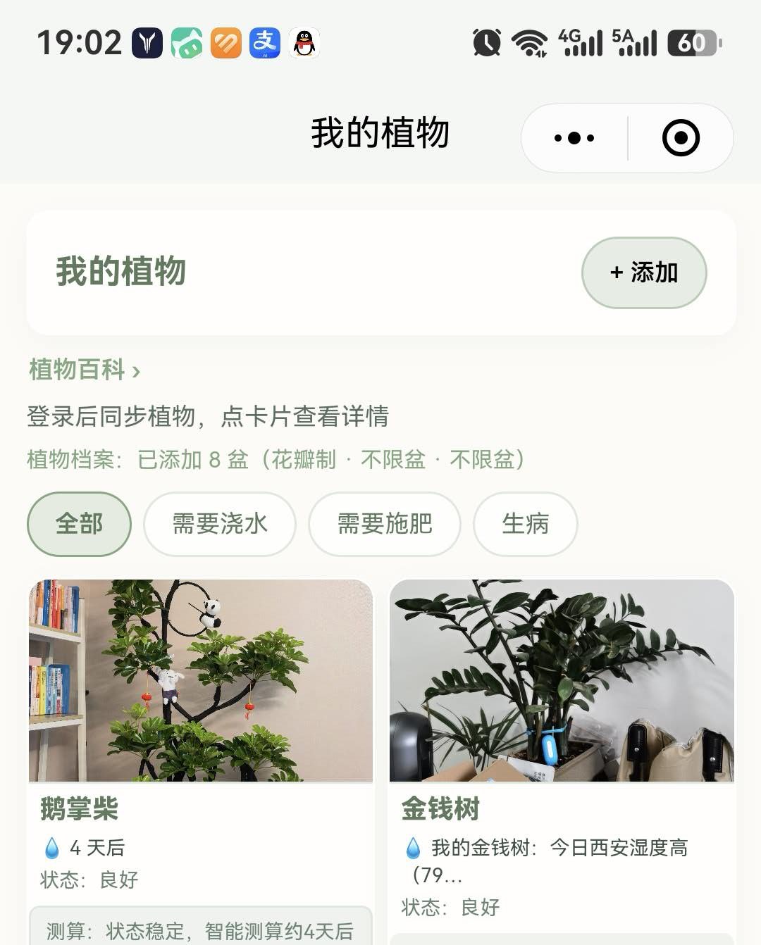 养护 · 植物档案