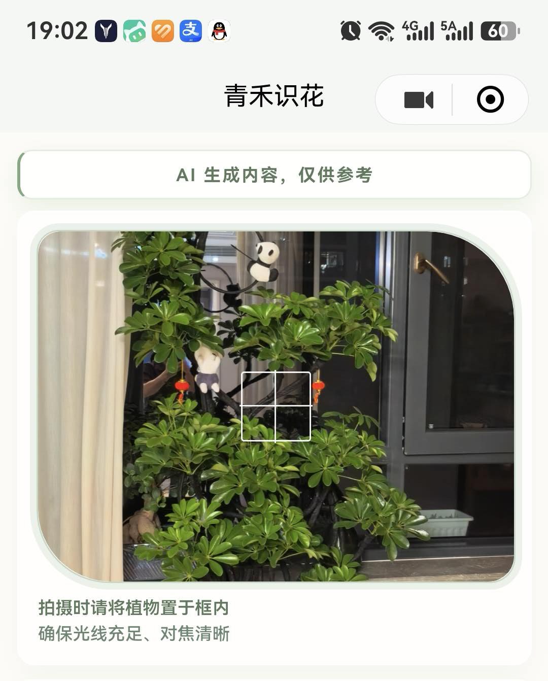 识花 · AI 拍照识别