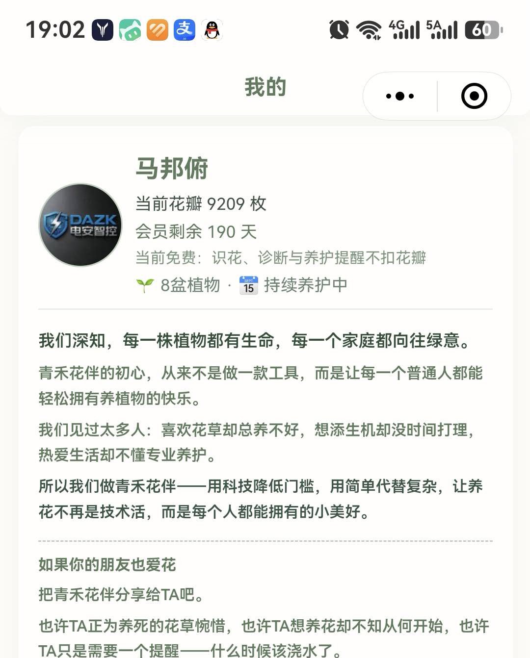 我的 · 花瓣体系